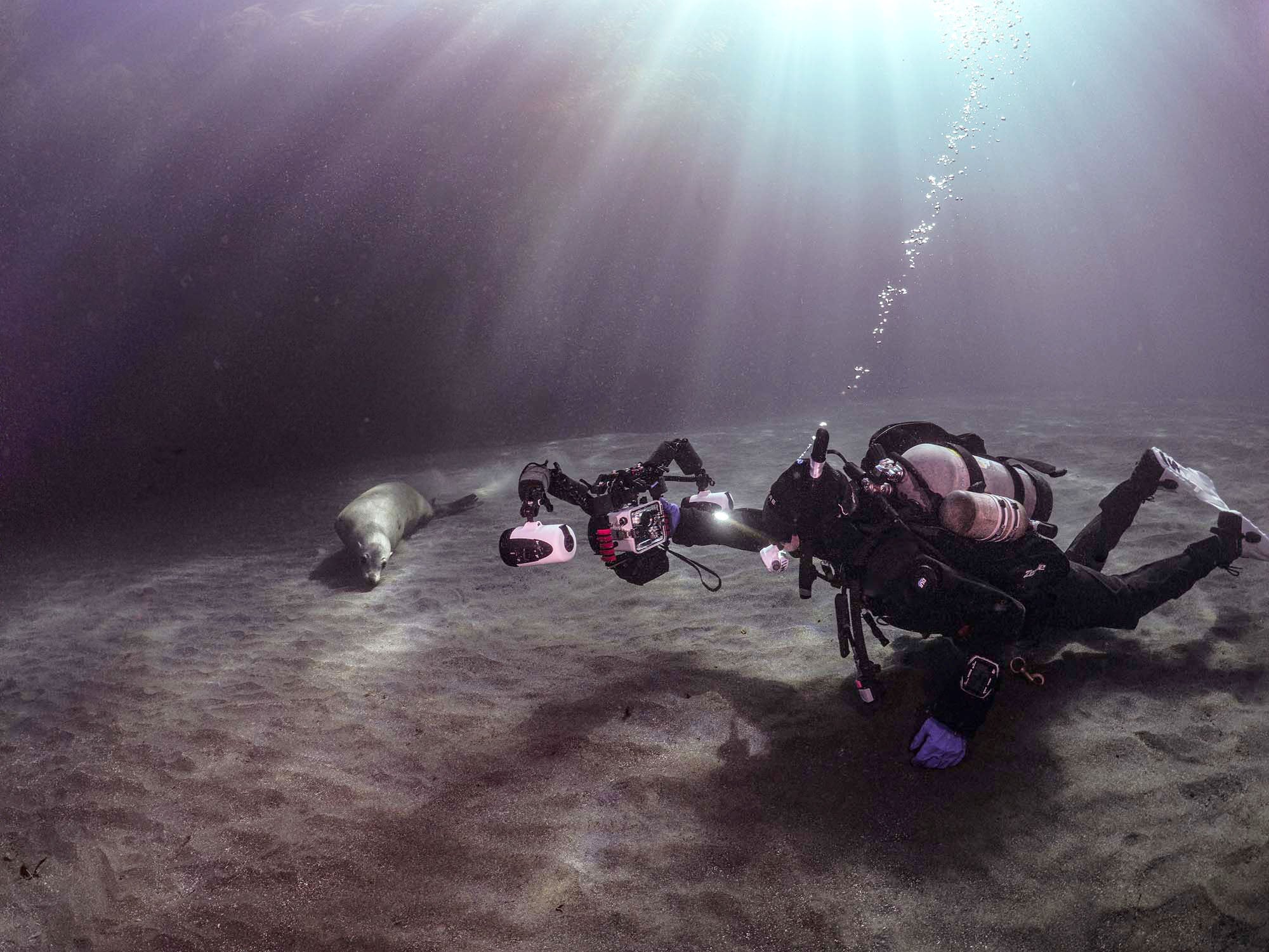 3 Gear Upgrades That Transformed My Underwater Photography