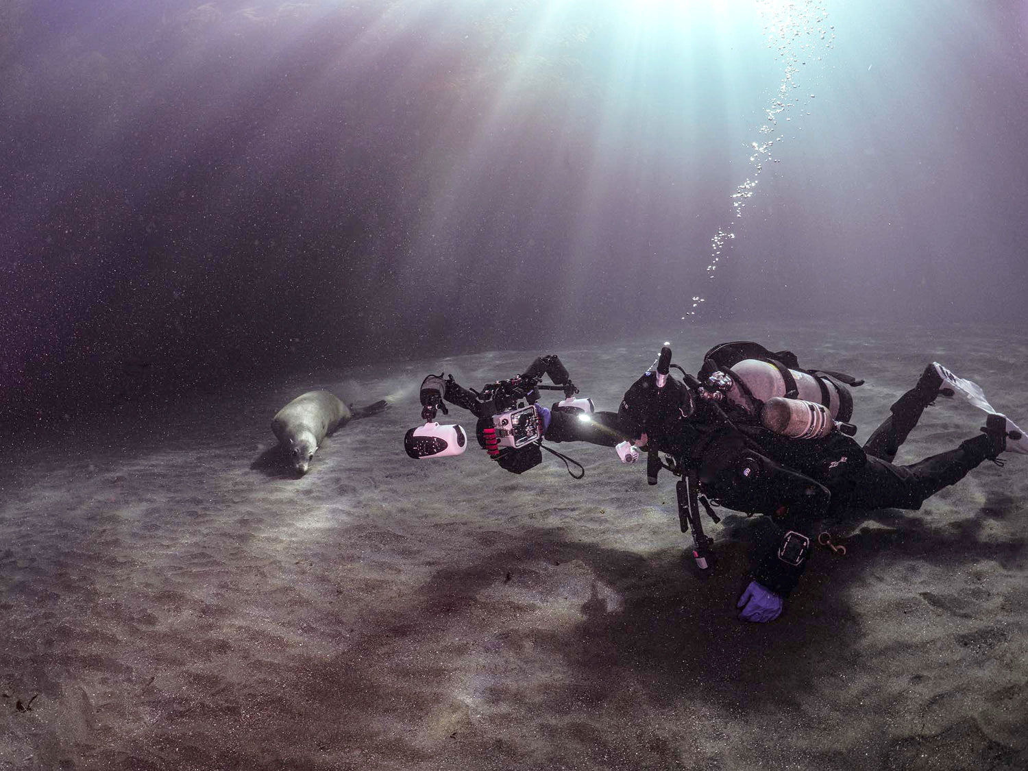 3 Gear Upgrades That Transformed My Underwater Photography by Douglas Klug for Ikelite Underwater Systems