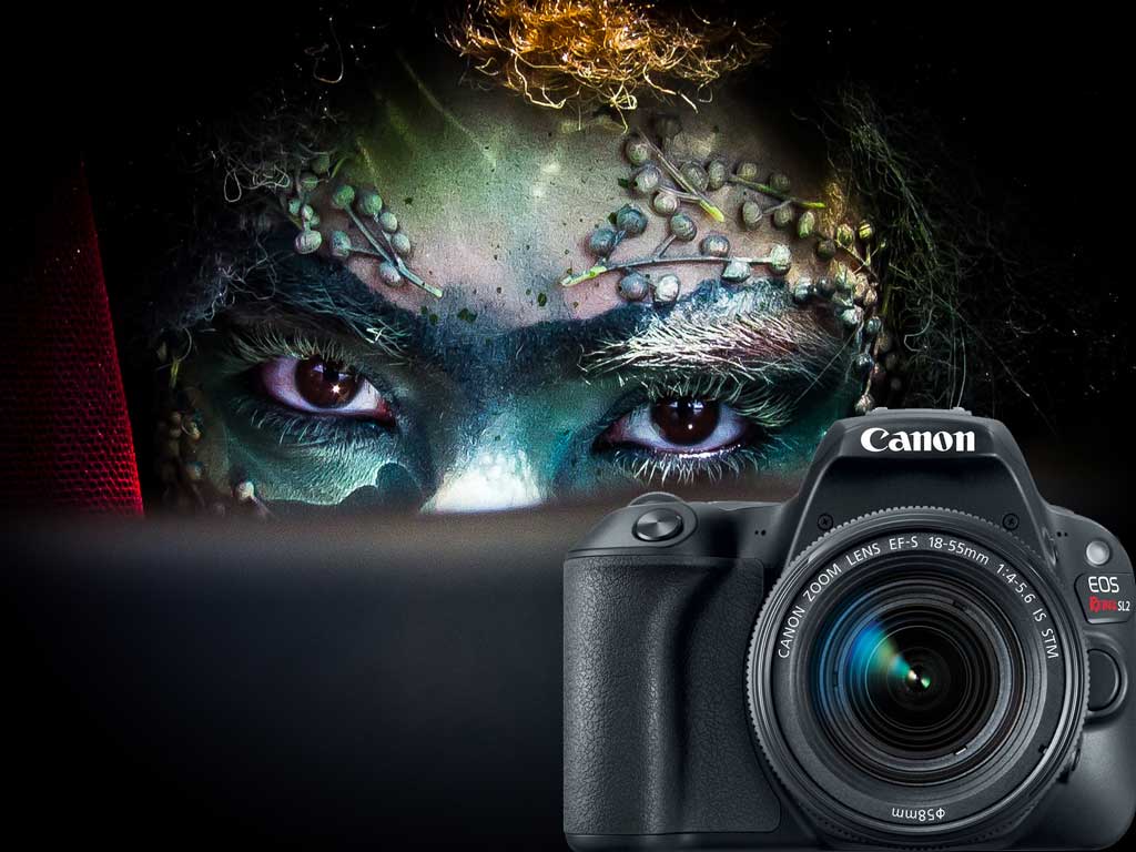 rebel sl2 lenses