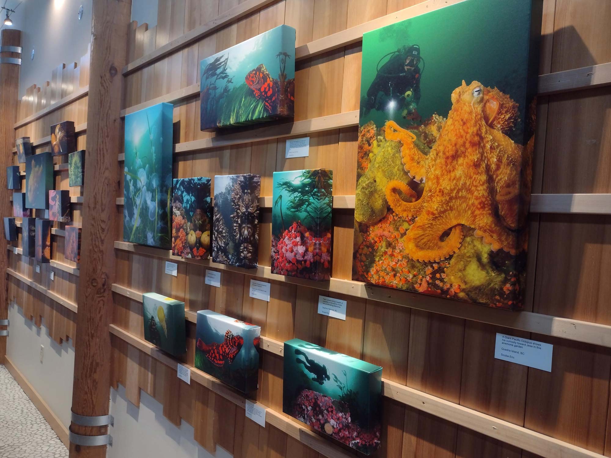 Events | MaST Aquarium Art Exhibit | September - October 2022