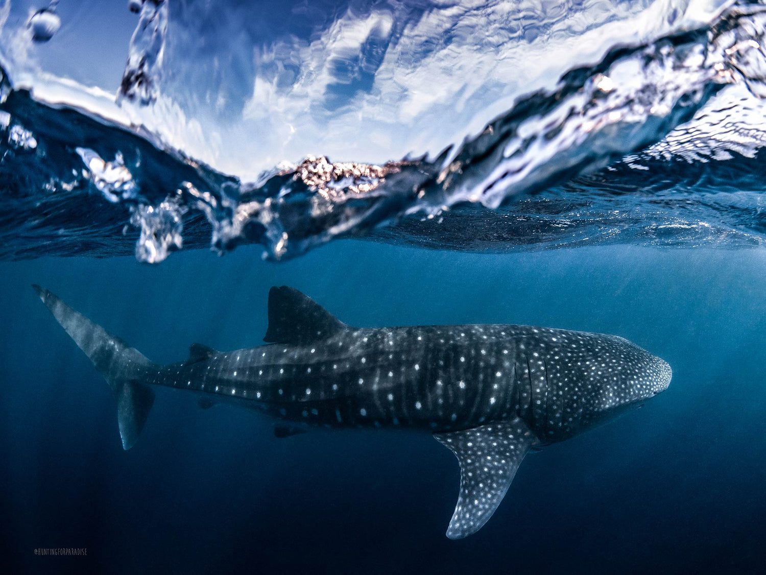 Featured Customers | Lewis Burnett Bridging the Gap