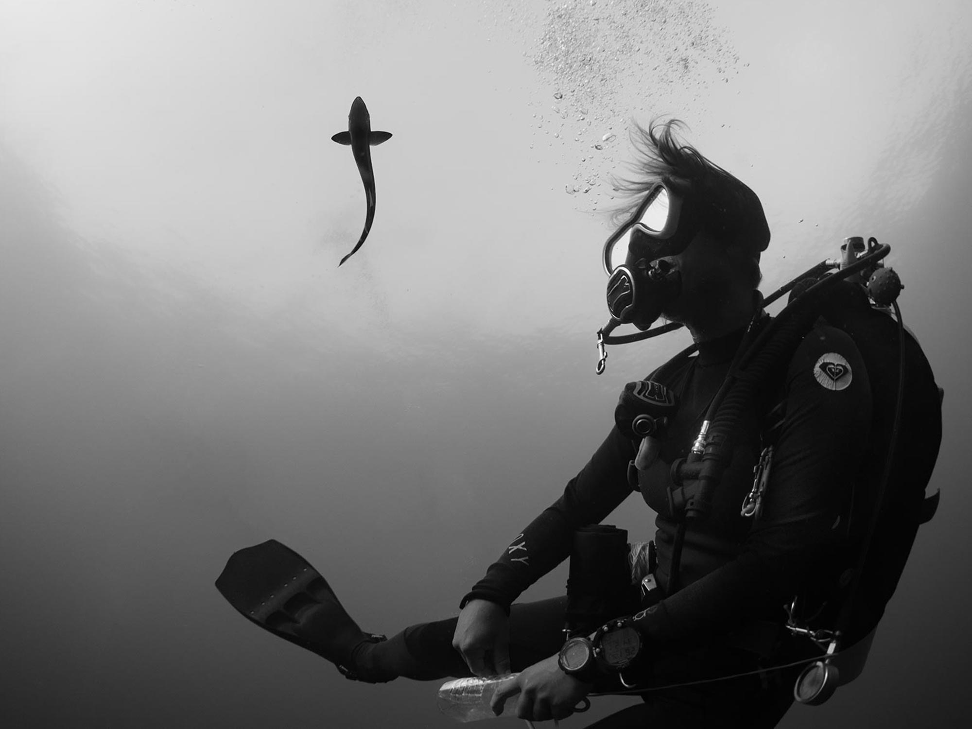 An Underwater Rockstar Among Royalty