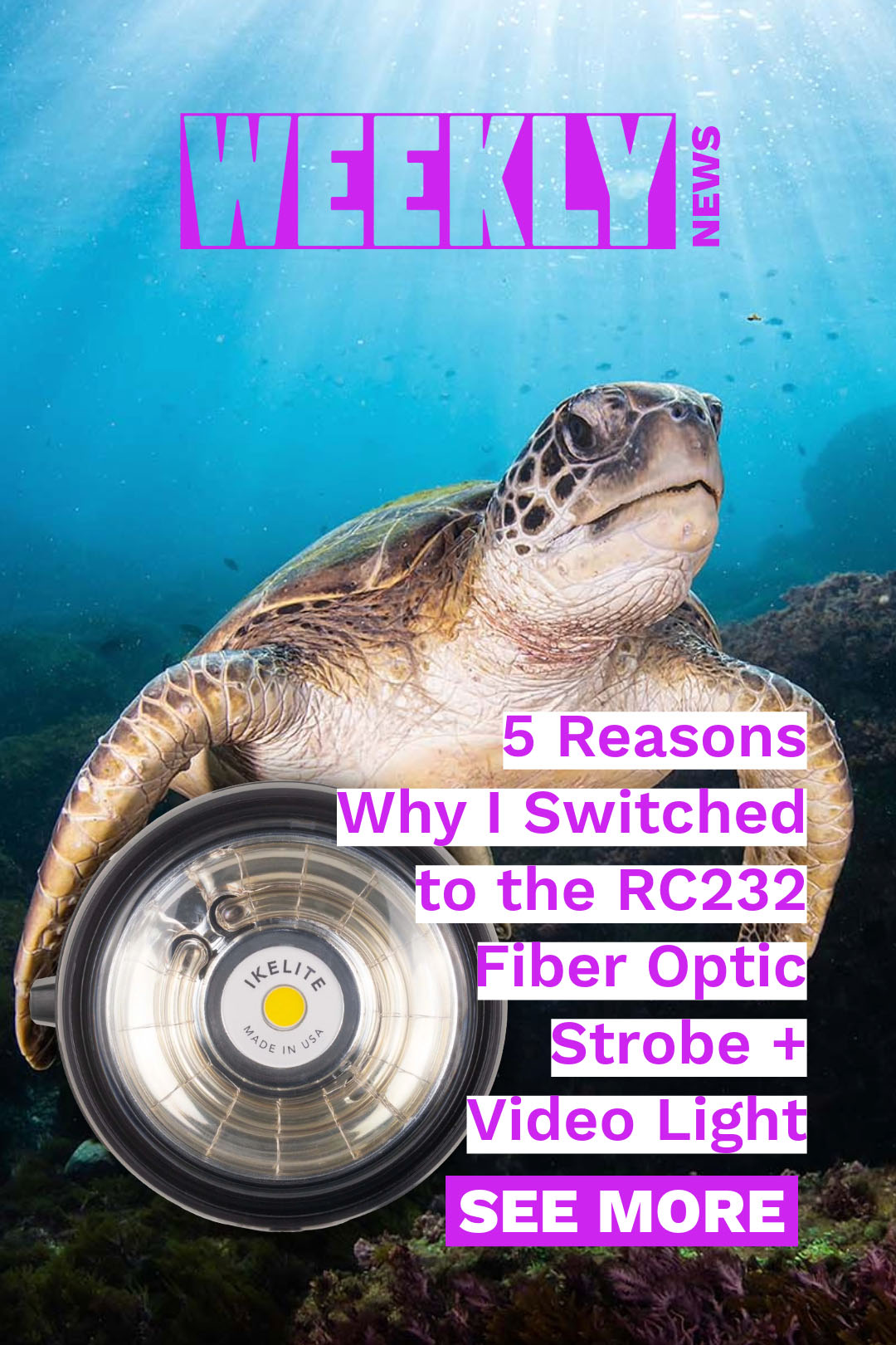 Top 5 reasons Josh Blank switched to the RC232 Strobe + Video Light, Sony a7 V camera settings for underwater, meet our newest Ambassador Tomas Koeck, dive into the Ocean State docuseries, and Philip LoCicero