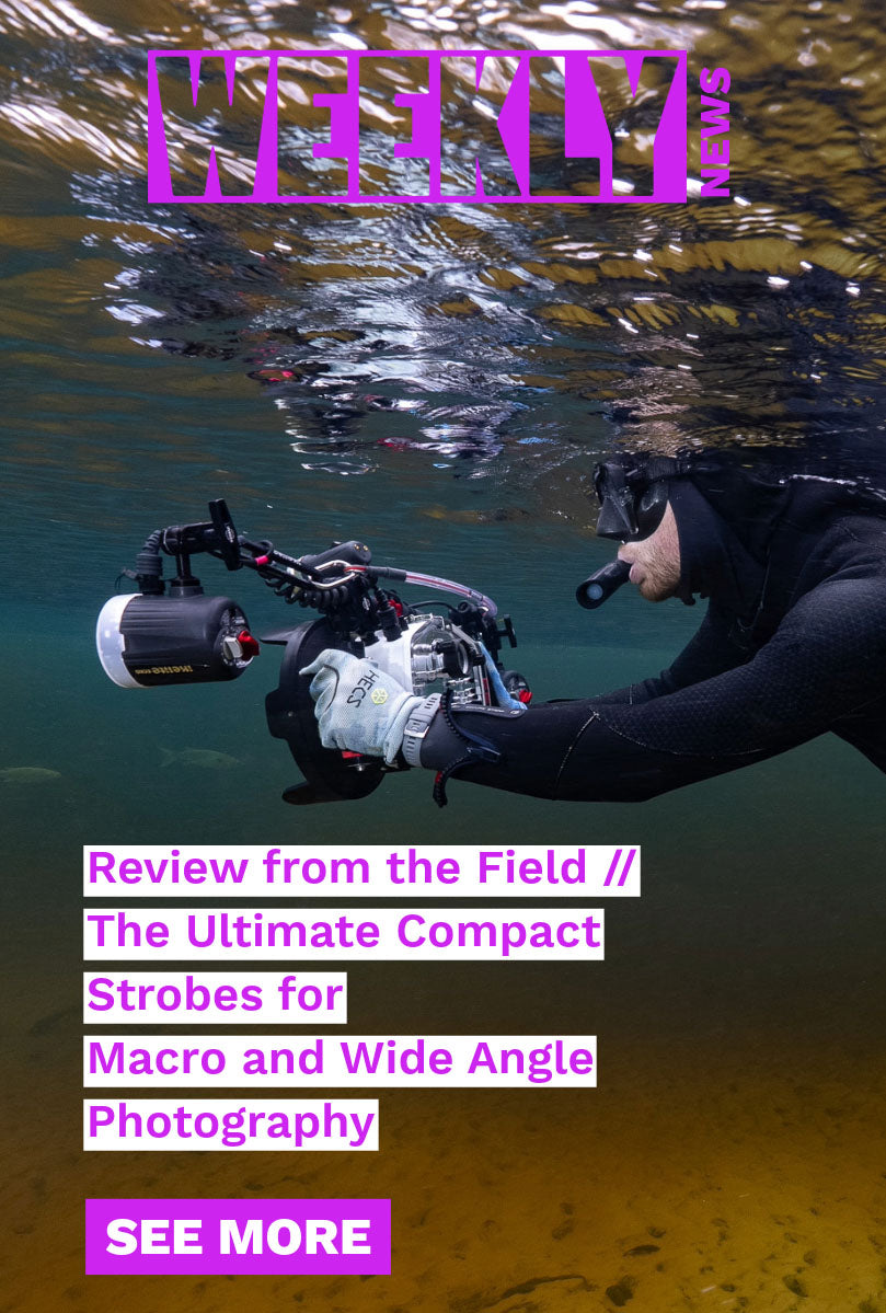 Ikelite Weekly Newsletter 4-17-2026