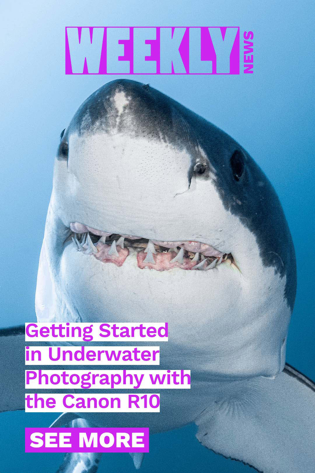 Getting started in underwater photography with the Canon R10, Sony a7R VI results from Yap, Benji Zecher creates magic on a single breath, plus Sony's exciting new fisheye lens.