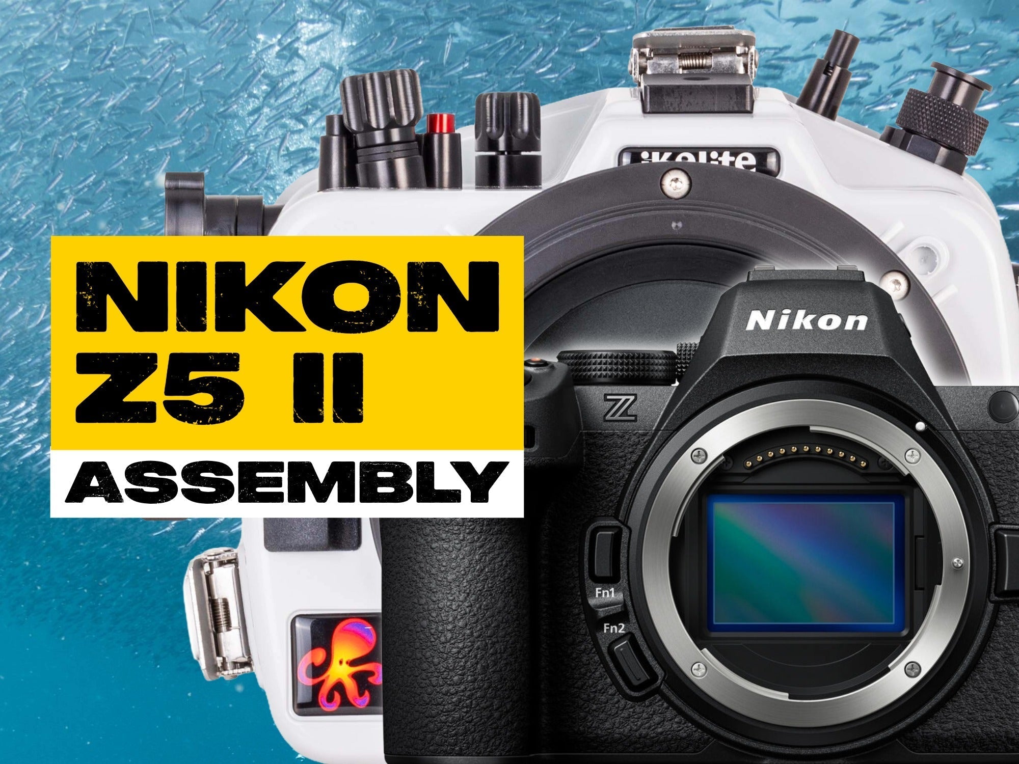 Nikon Z5 II Setting It Up // 200DL Underwater Housing [VIDEO]