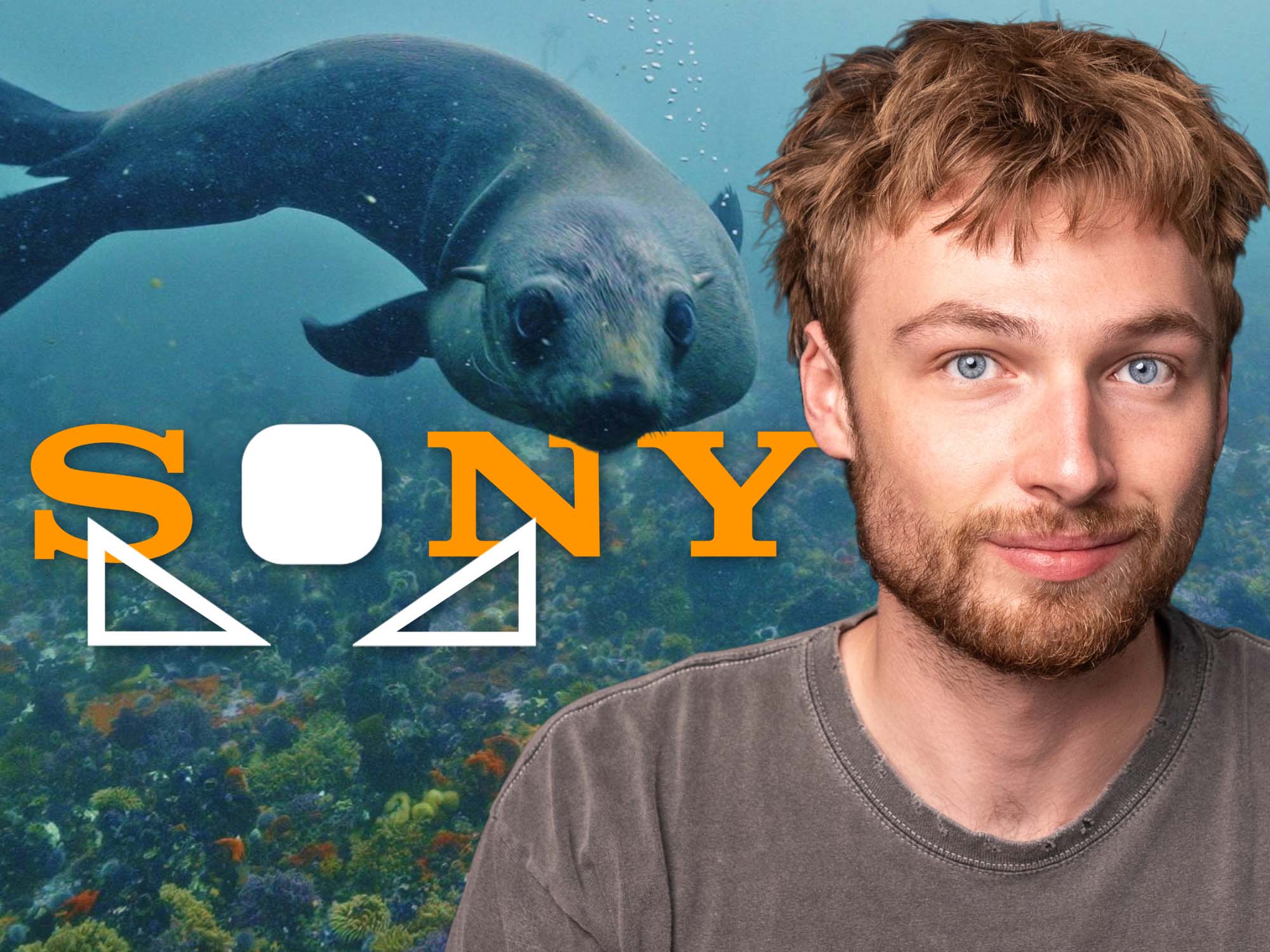 Sony Custom White Balance Shortcut for Use in Underwater Housings [VID