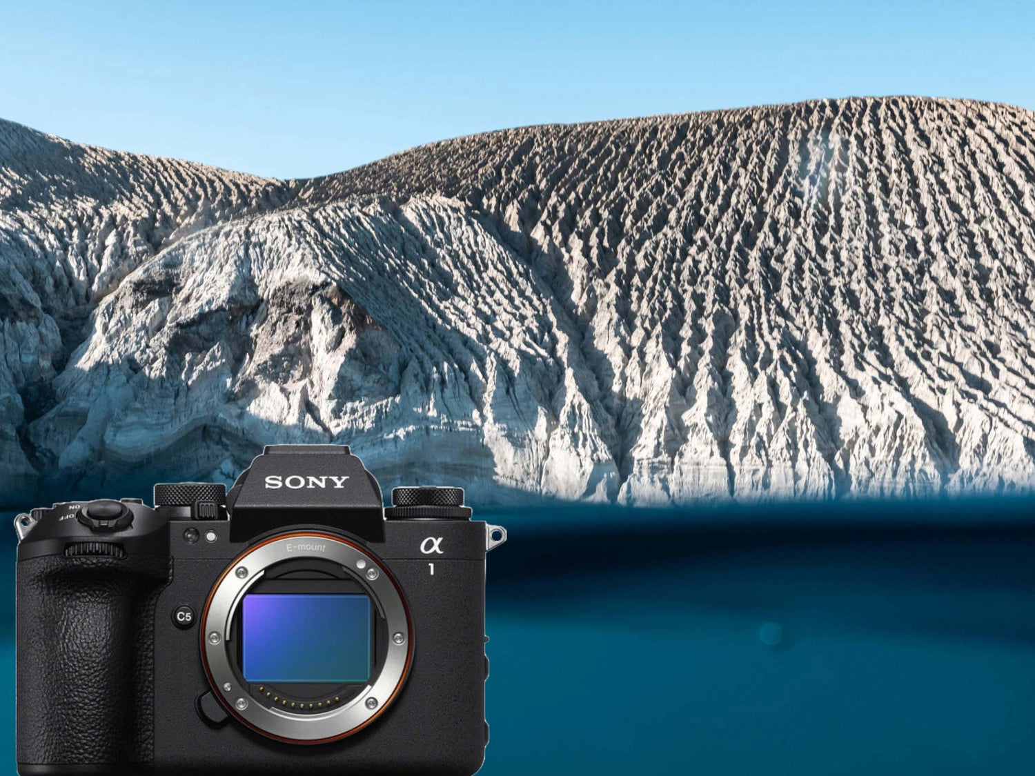 Sony a1 II Underwater Results with the Ikelite 200DL Underwater Housing