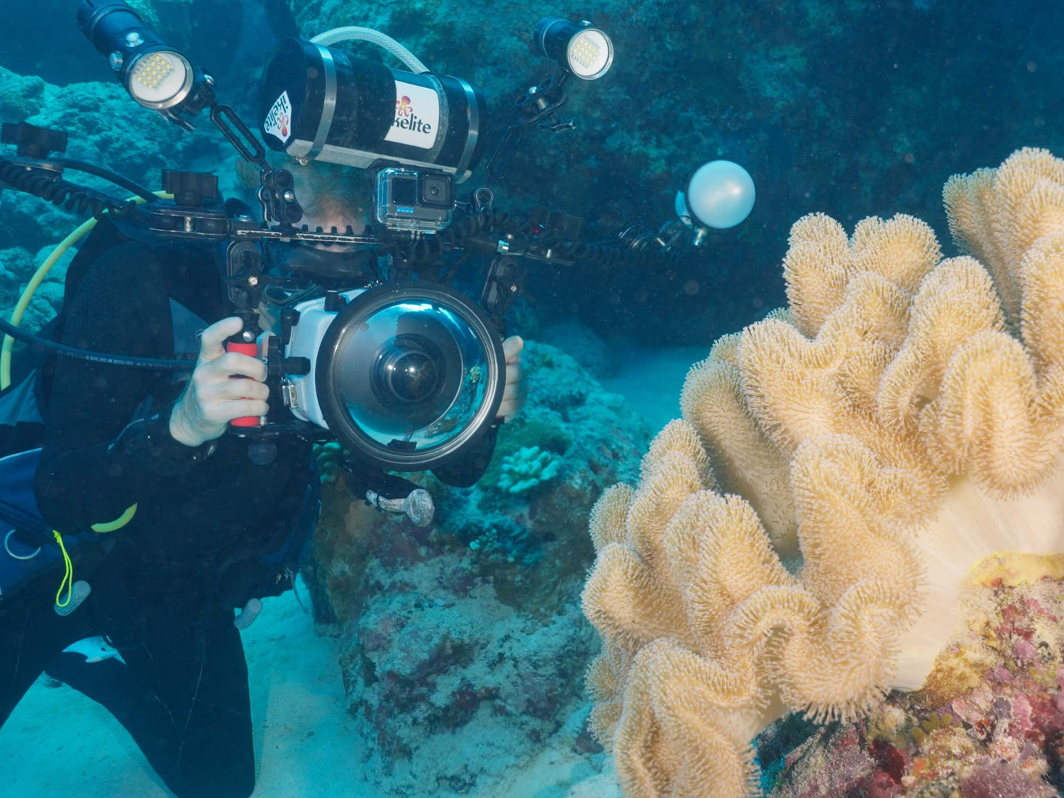Strobes vs Video Lights for Underwater Photography, Review by Ikelite Underwater Systems
