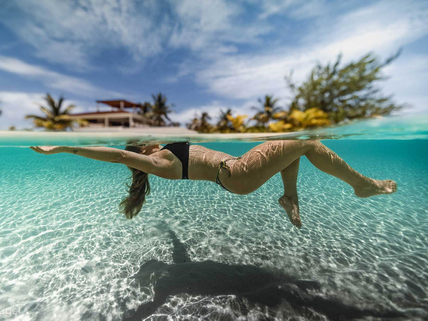 Featured Customers | Tom Nagel Steel House Productions