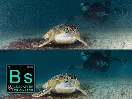Turtle before and after Backscatter XTerminator plugin copyright Ikelite