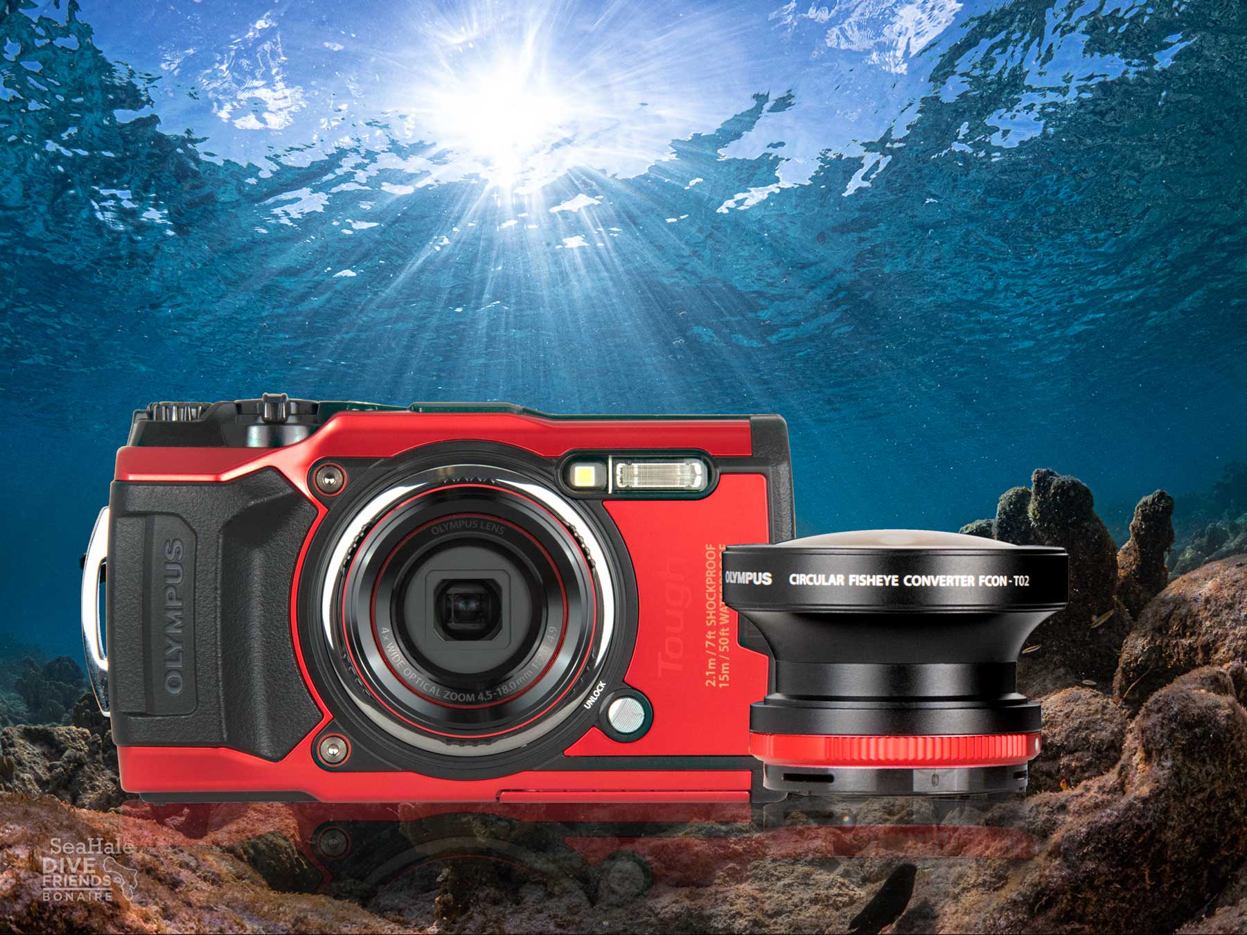 olympus fisheye lens