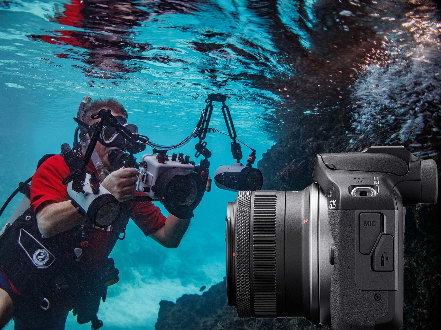 Canon RF 18-45mm f/4.5-6.3 IS STM Lens for Underwater Photography Review & Results
