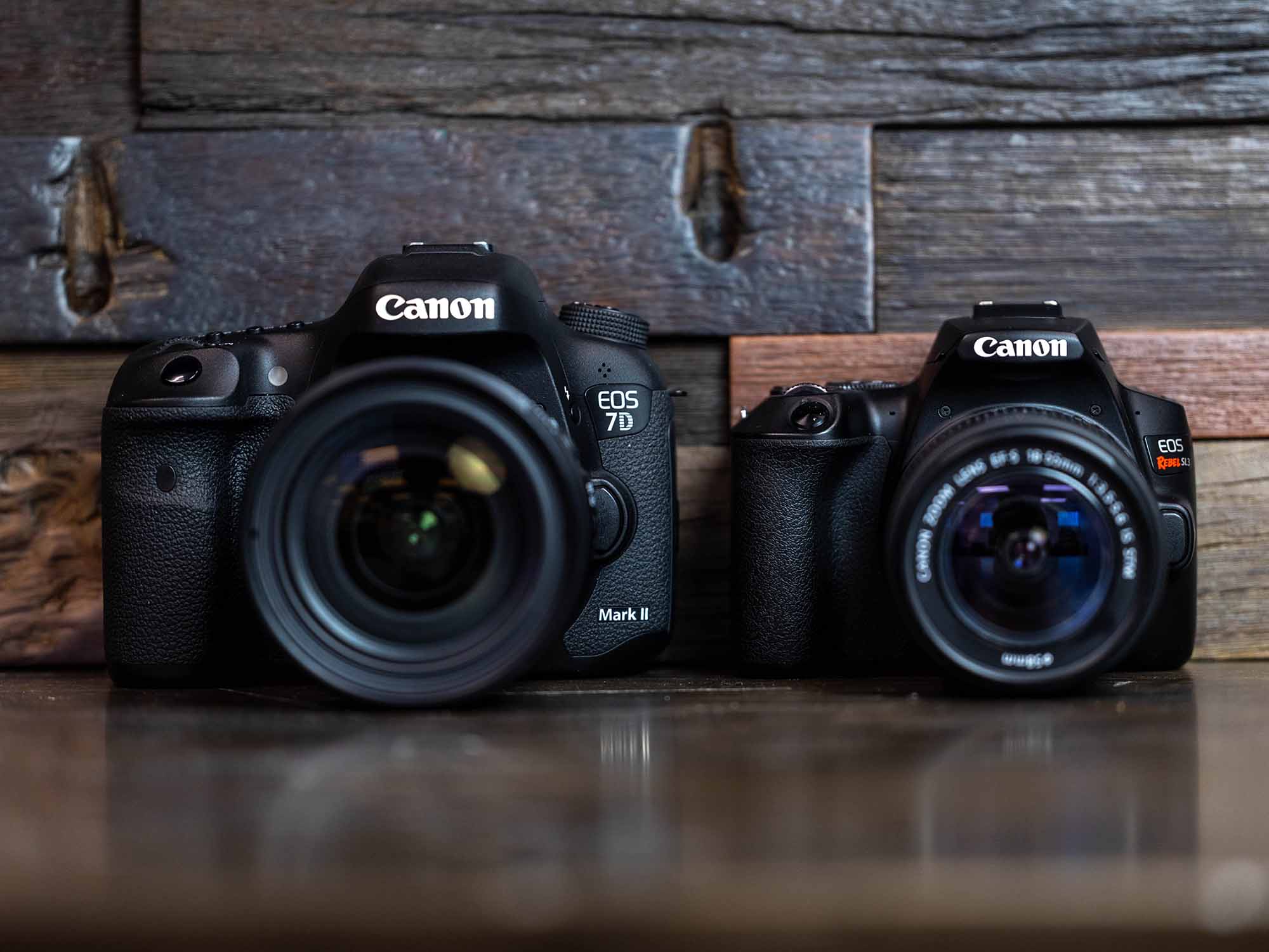 Canon EOS 250D/Rebel SL3 DSLR Camera (Black, Body Only) 