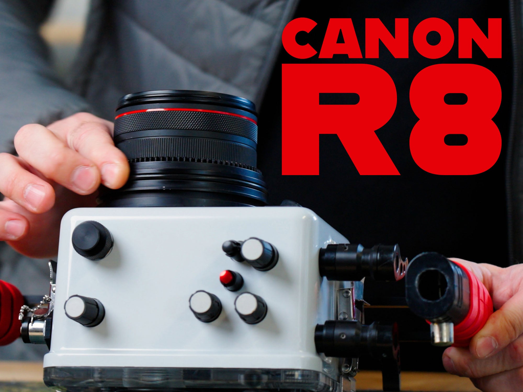 Canon R8 // Underwater Housing Assembly Ikelite 200DLM/D [VIDEO]