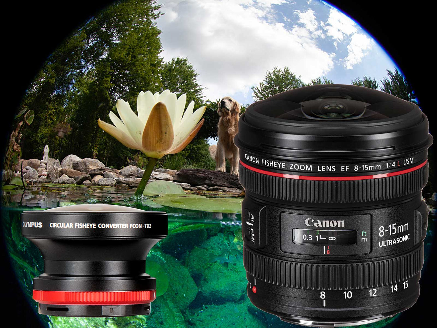 Circular Fisheye Showdown: Canon 8-15mm vs Olympus FCON-T02