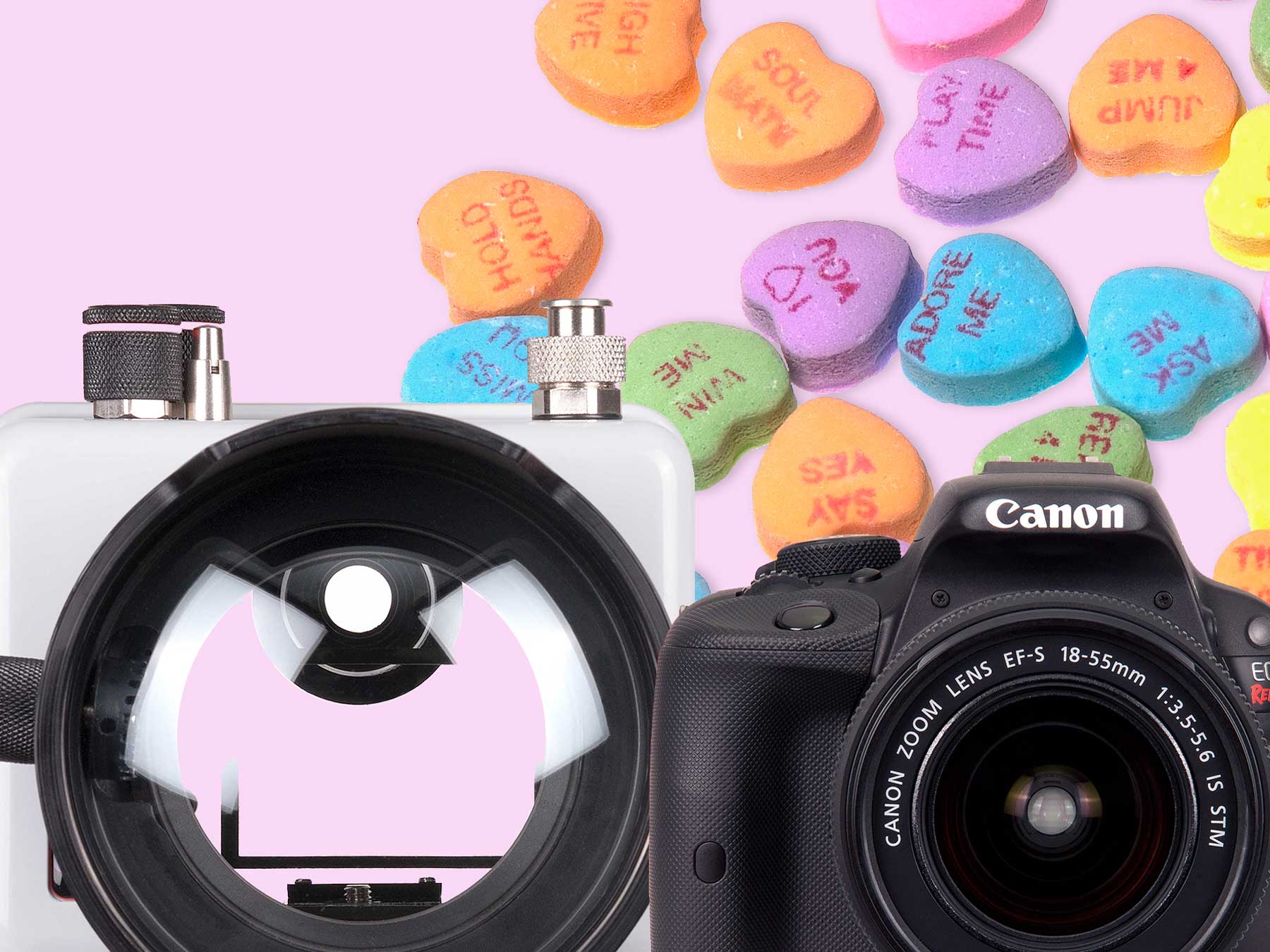 Why We Fell in Love With the Canon Rebel SL1