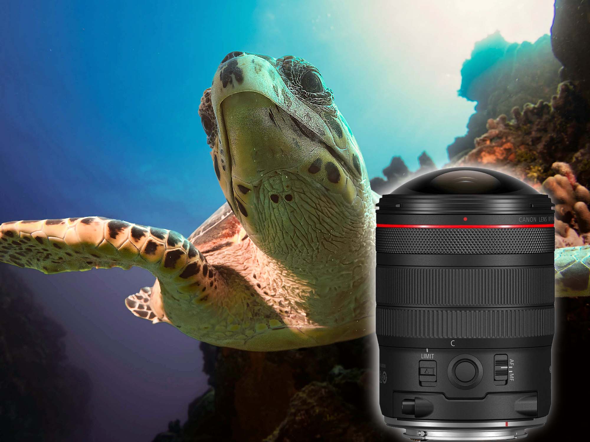 Trading up from the Canon EF 8-15mm to the RF 7-14mm Fisheye Lens