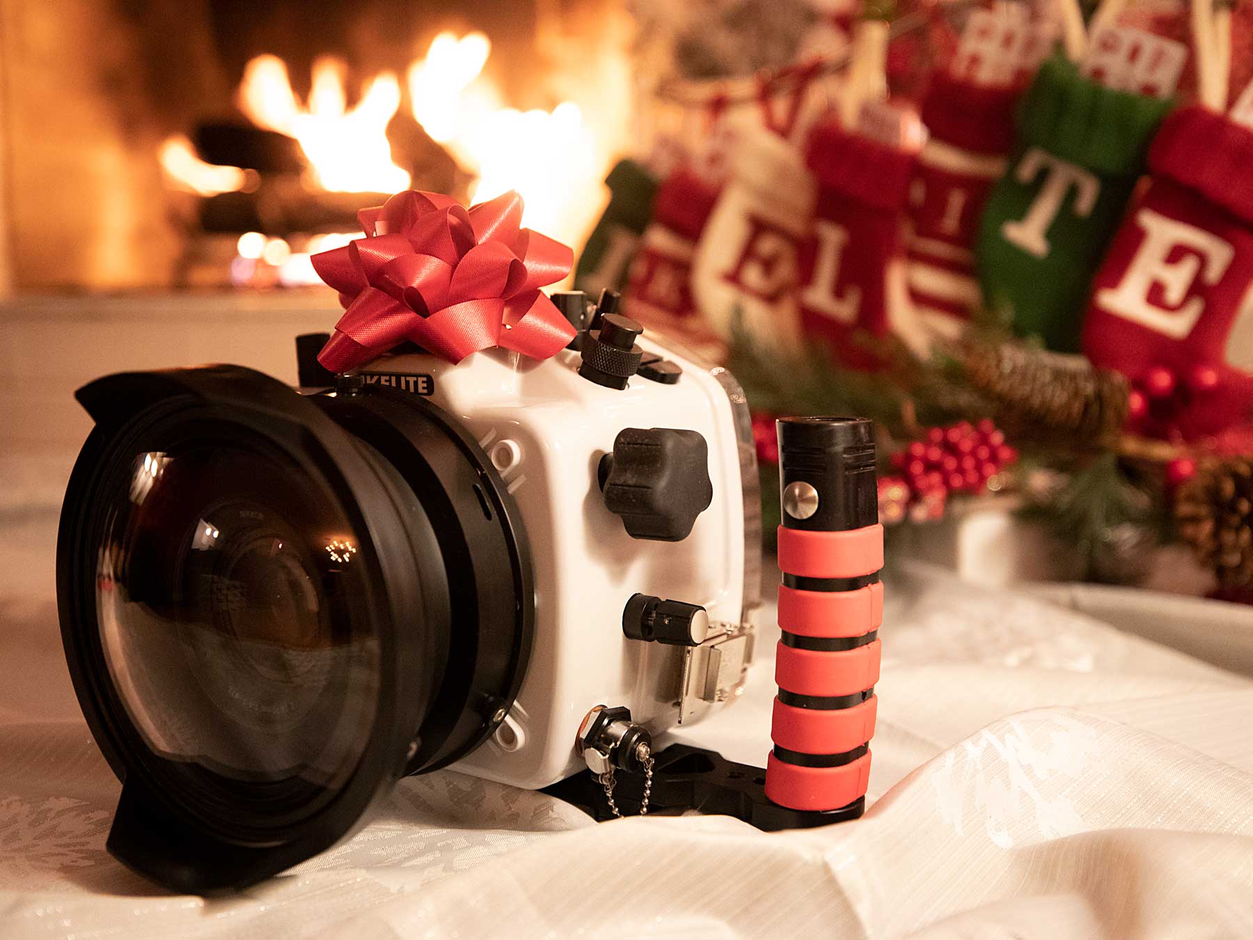 2019 Holiday Gift Guide for Underwater Photographers