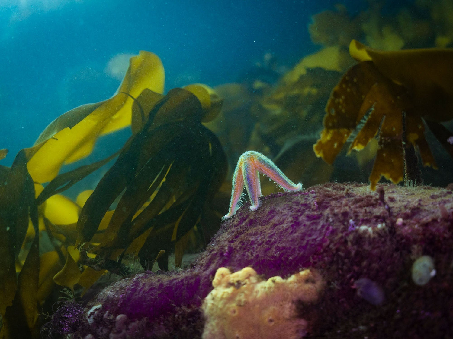 Featured Customers | Peter Muld Change Starts Underwater