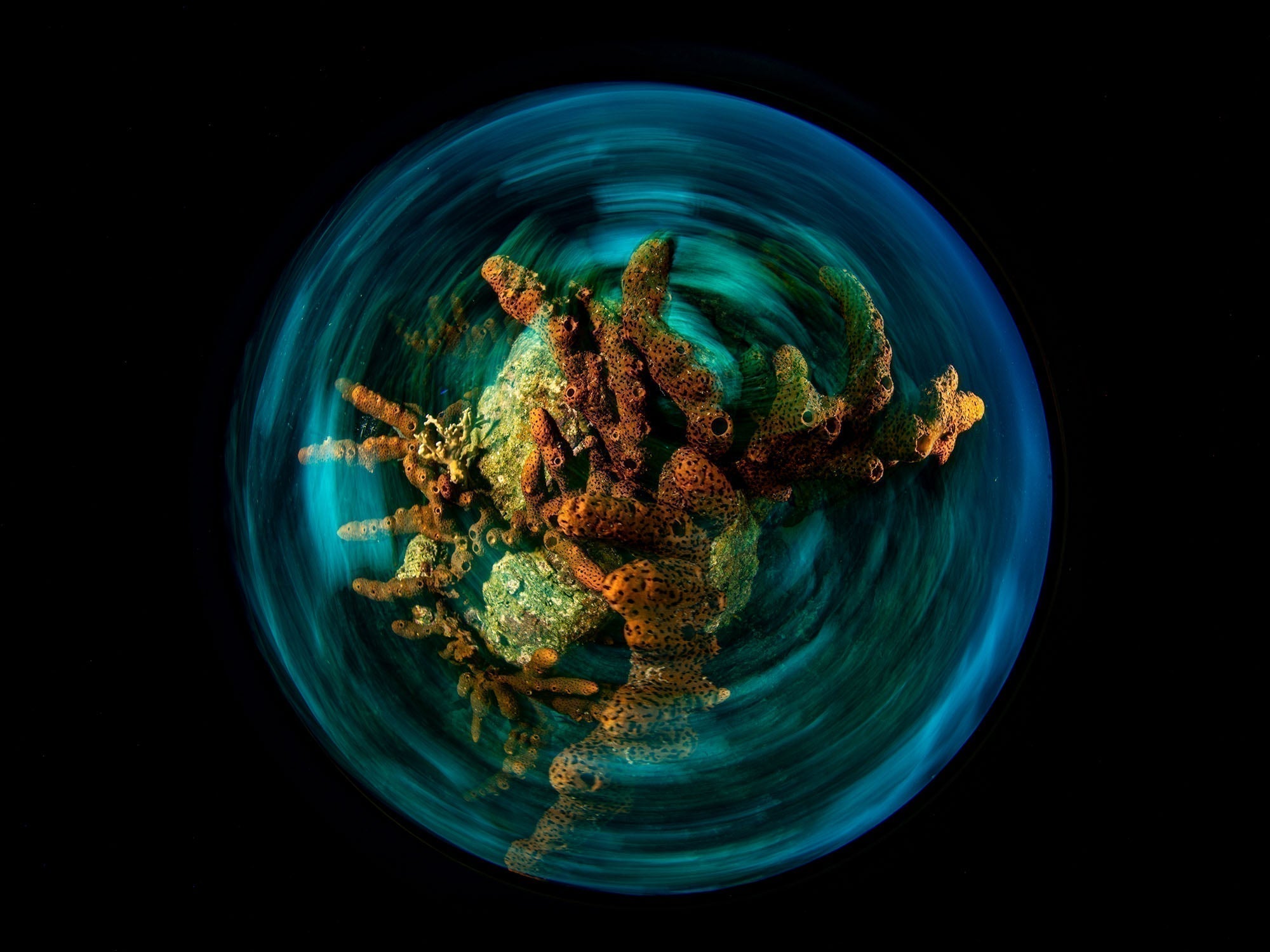 Featured Customers | Gregory Haley Going Mirrorless in Bonaire