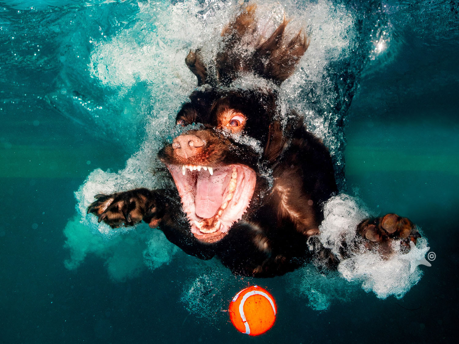 Featured Customers | Lucy Ray A Portrait of Amazing Adventures