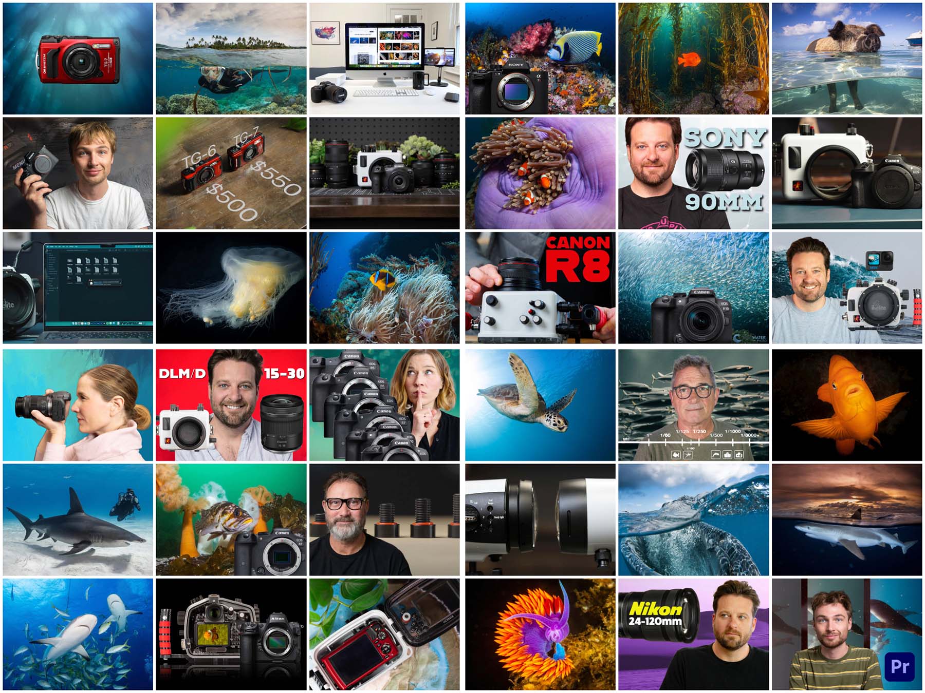2023 Wrap Up: Our 10 Most Popular Underwater Photography Articles and Videos