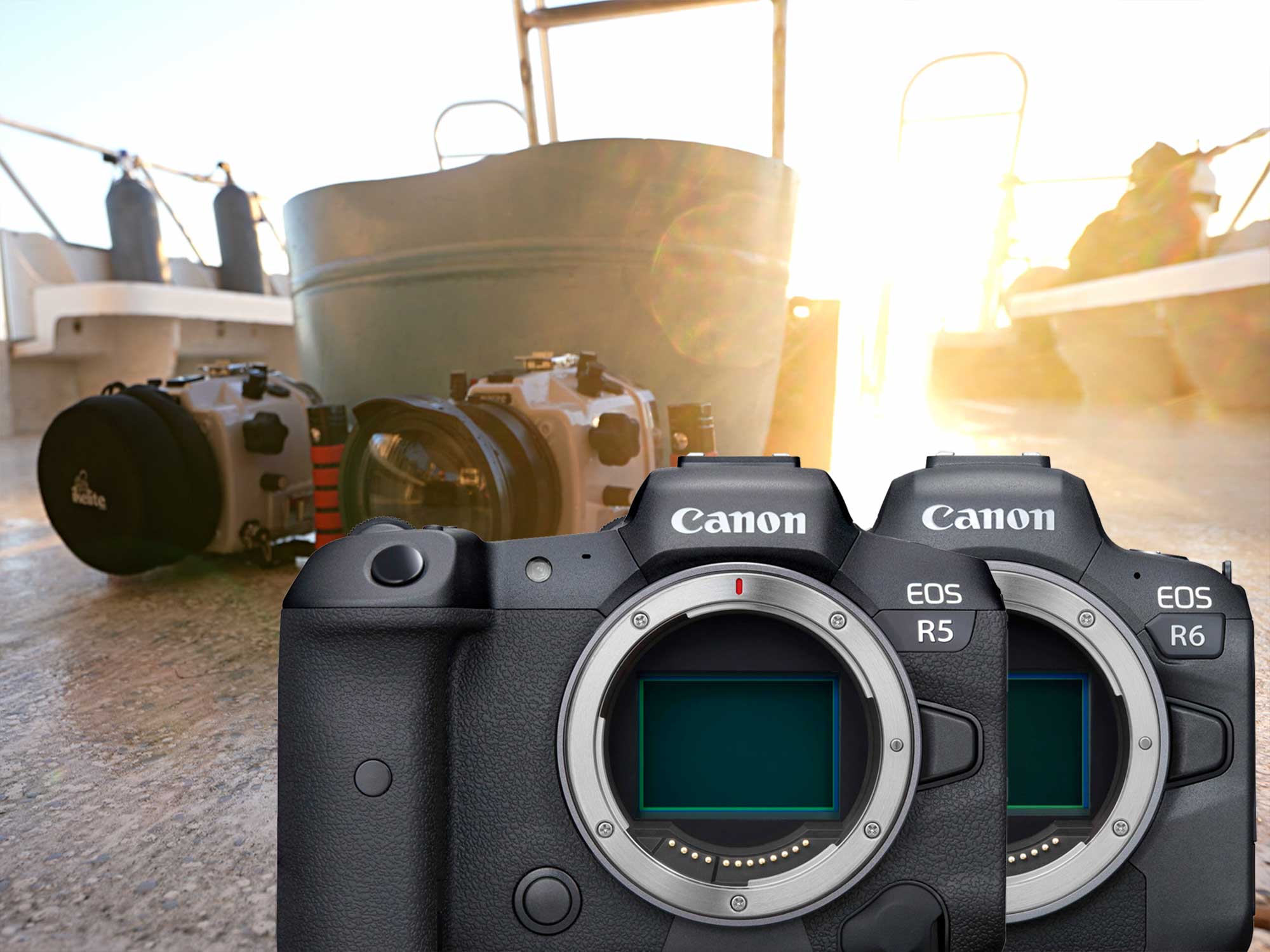 Canon EOS R5 - BODY