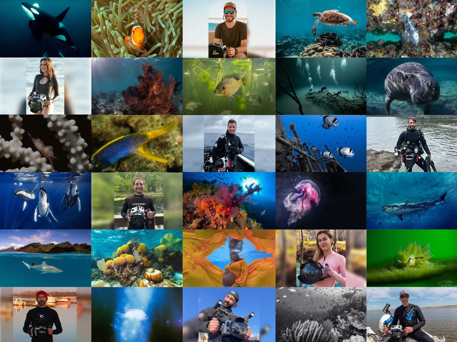 Ikelite's 2025 Featured Customers