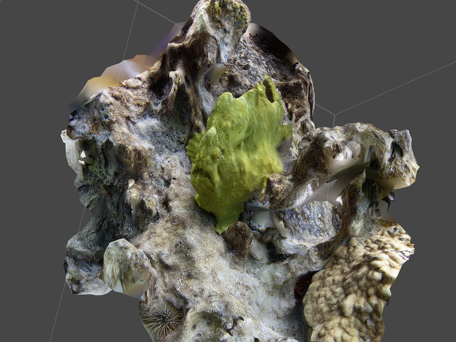 Structure from Motion: Creating 3D Models from Underwater Photos