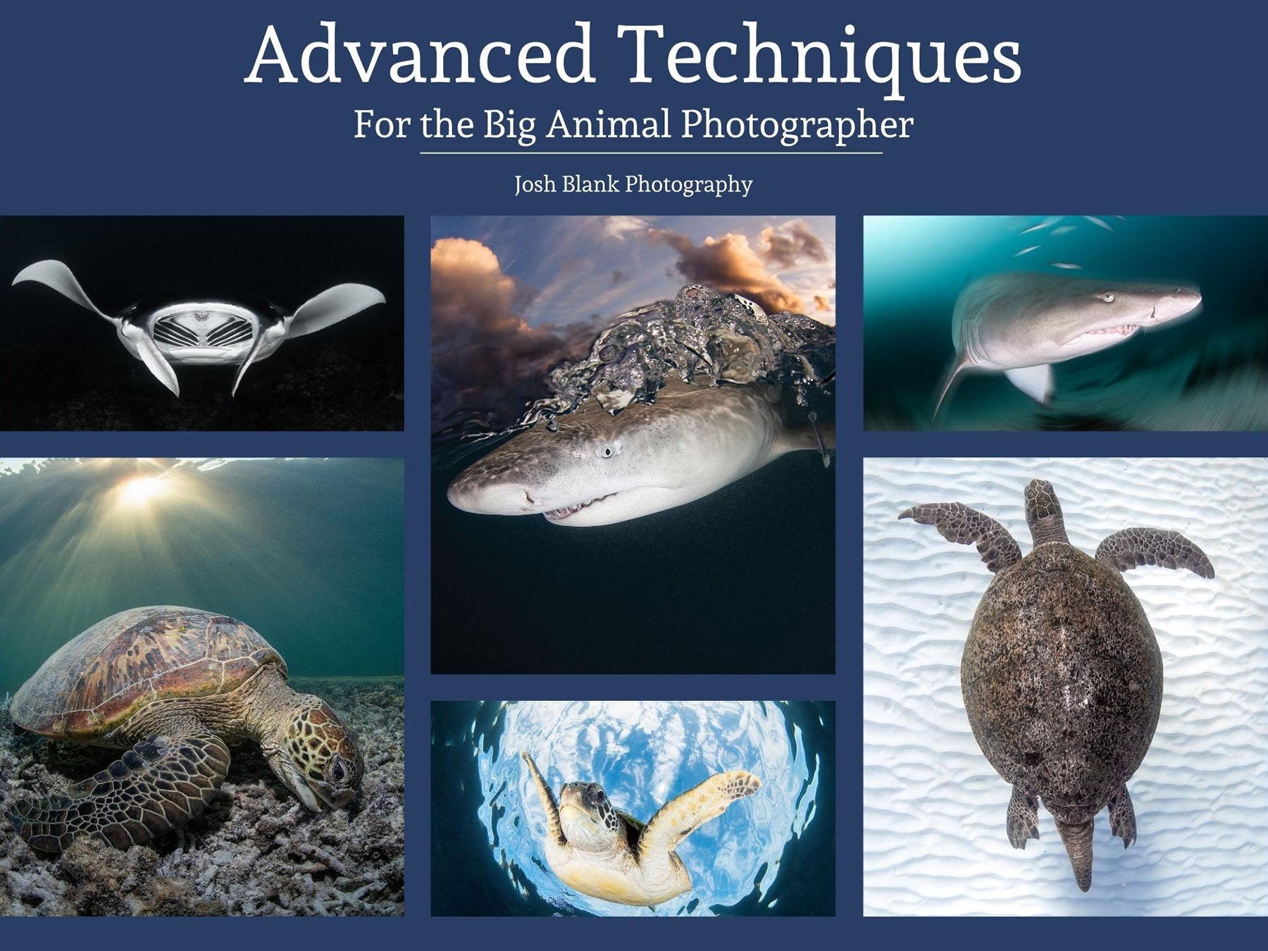 Book Review: Advanced Techniques for the Big Animal Photographer