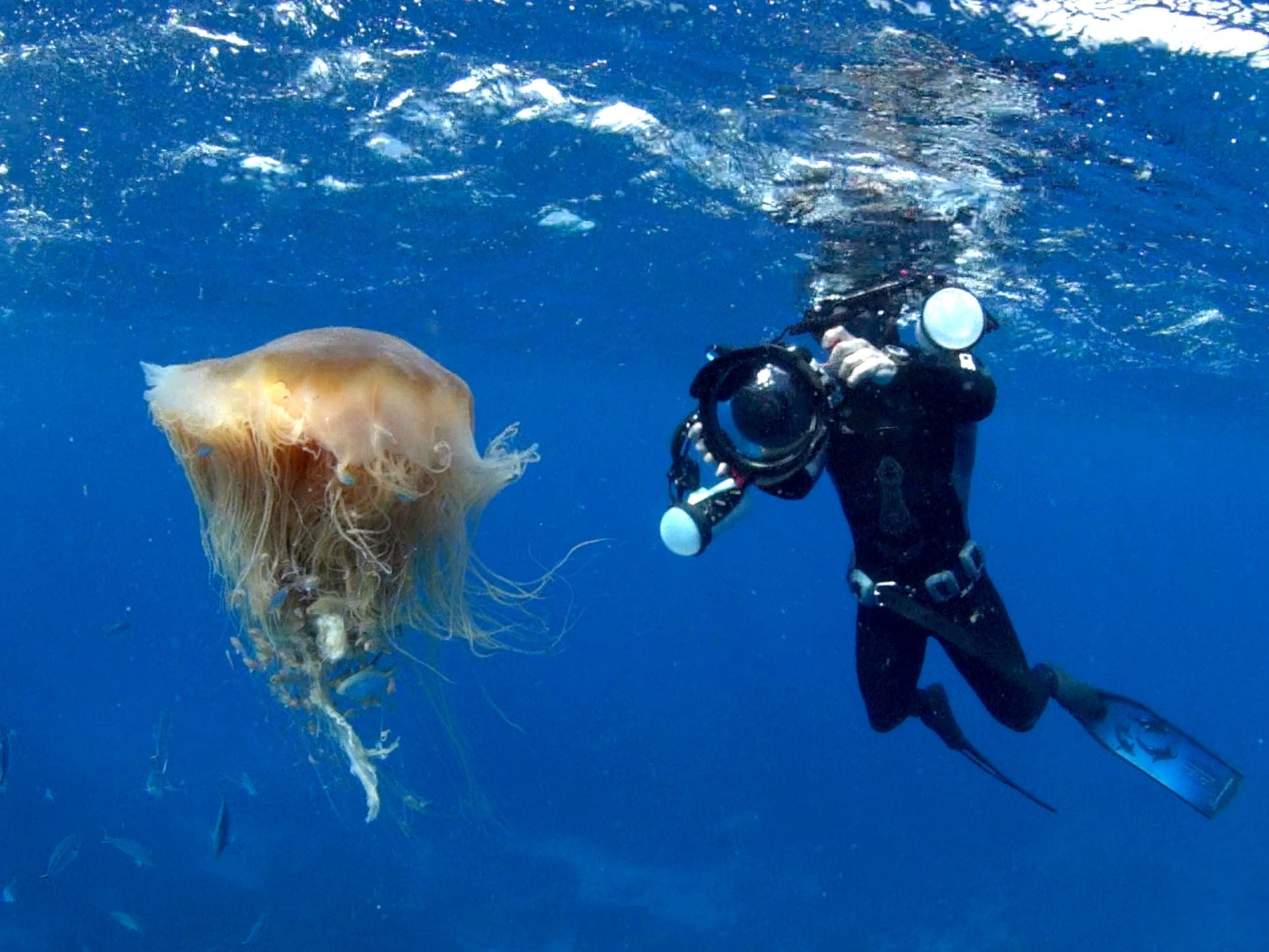 Josh Blank Ikelite Manual Fiber Optic Transmitter Review