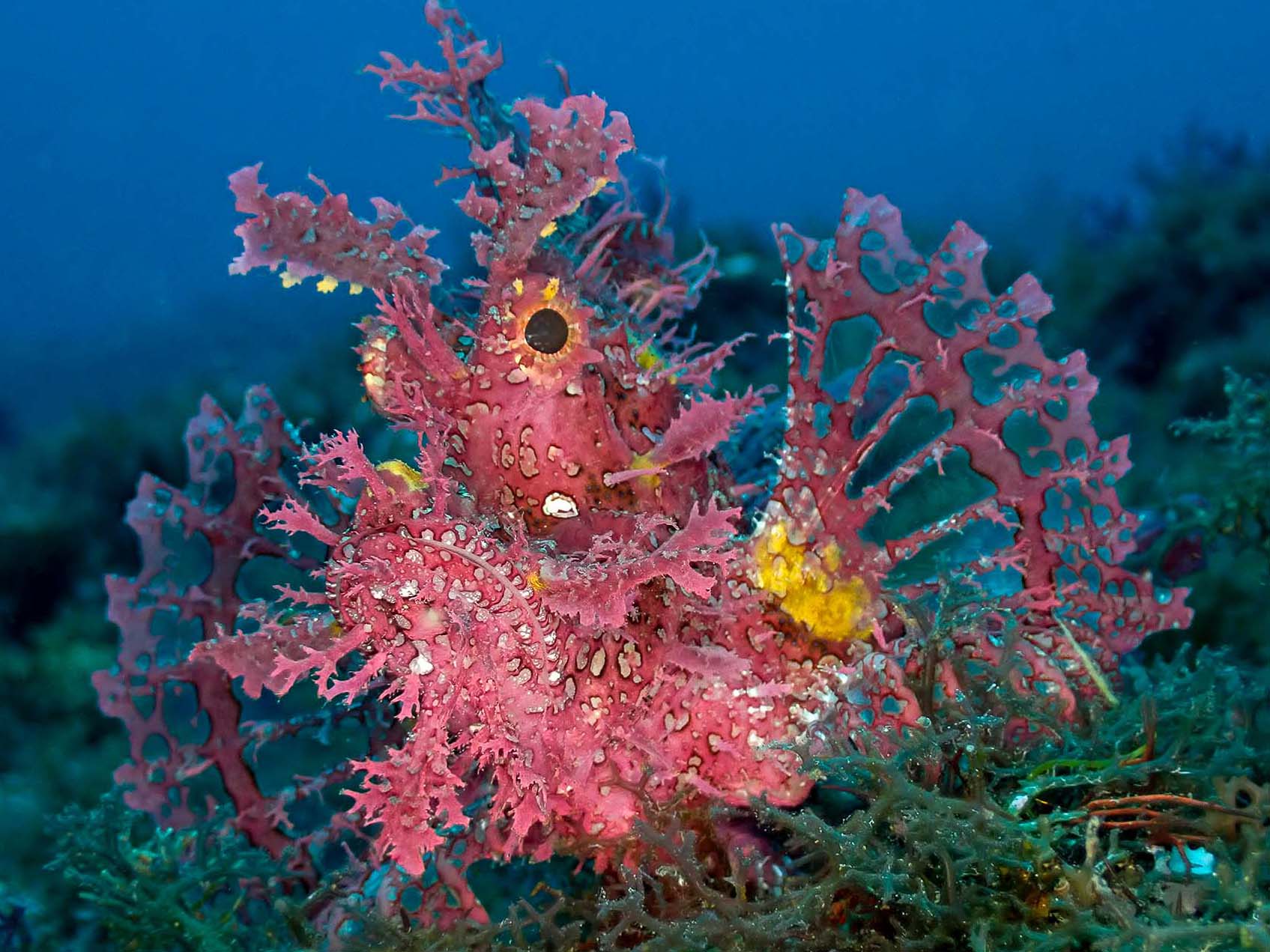 Winner’s Profile | Kevin Coombs Discovering Shipwrecks and Winning Photo Competitions