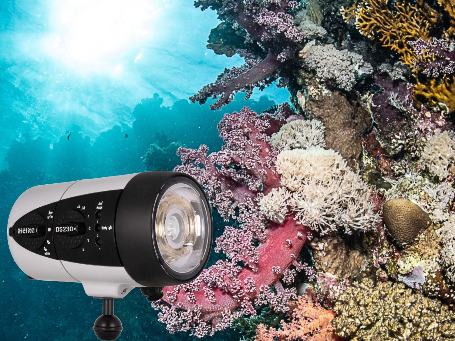 Lighting the Depths: Hands-On With the DS230 Strobes