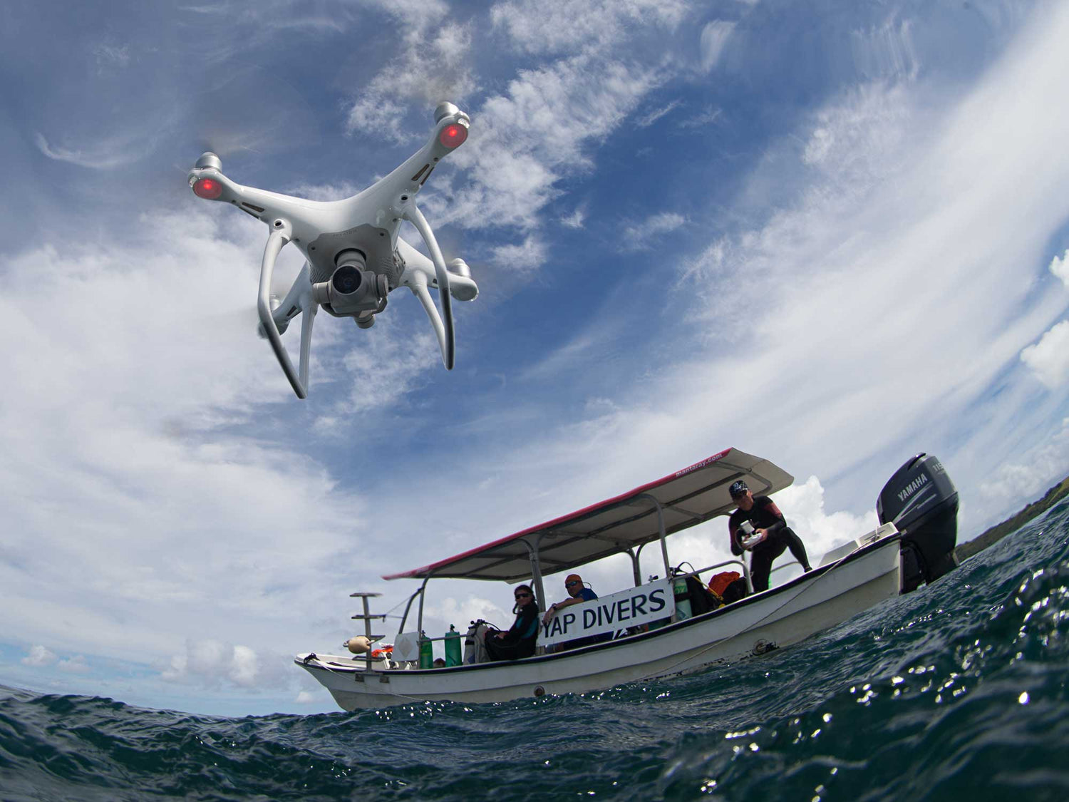 Event | Manta Fest 2020 | Canceled