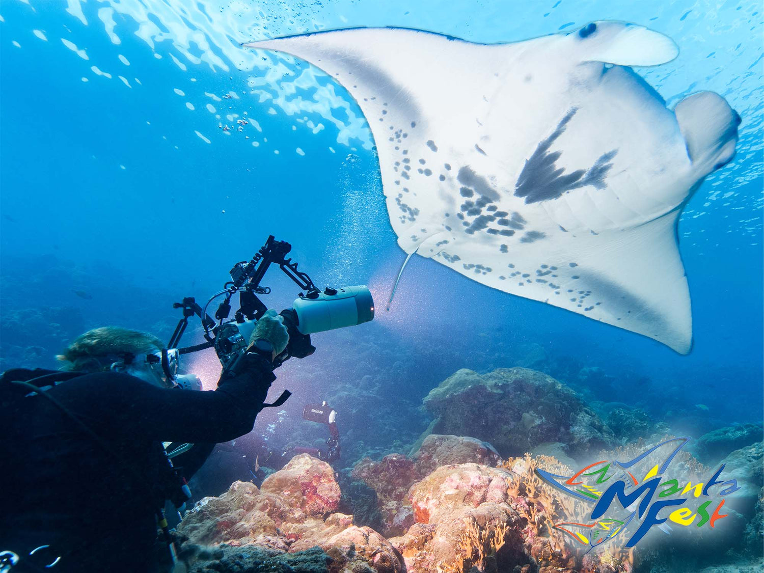 Mantafest 2025 Underwater Photography Workshop // Yap, Micronesia