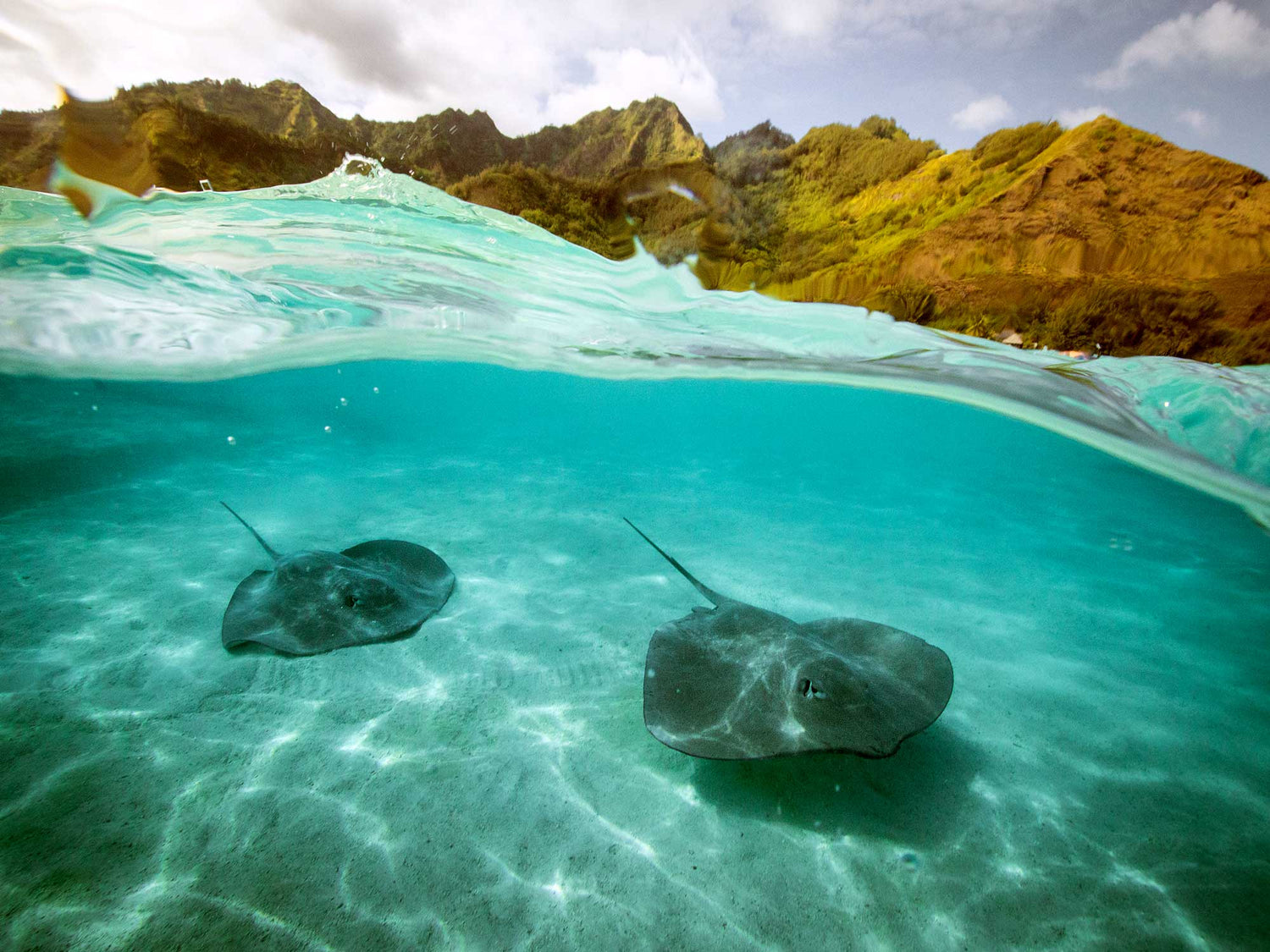 Over-Unders with the Canon EOS R Mirrorless Camera