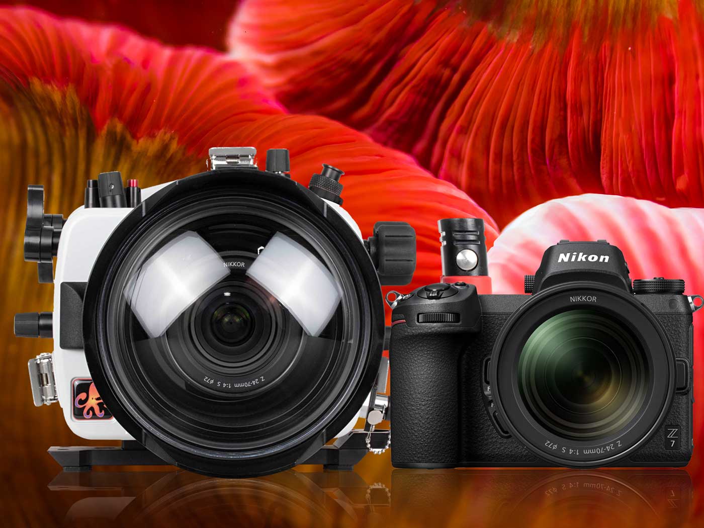 First Look Nikon Z6, Z7 Mirrorless Underwater Housing