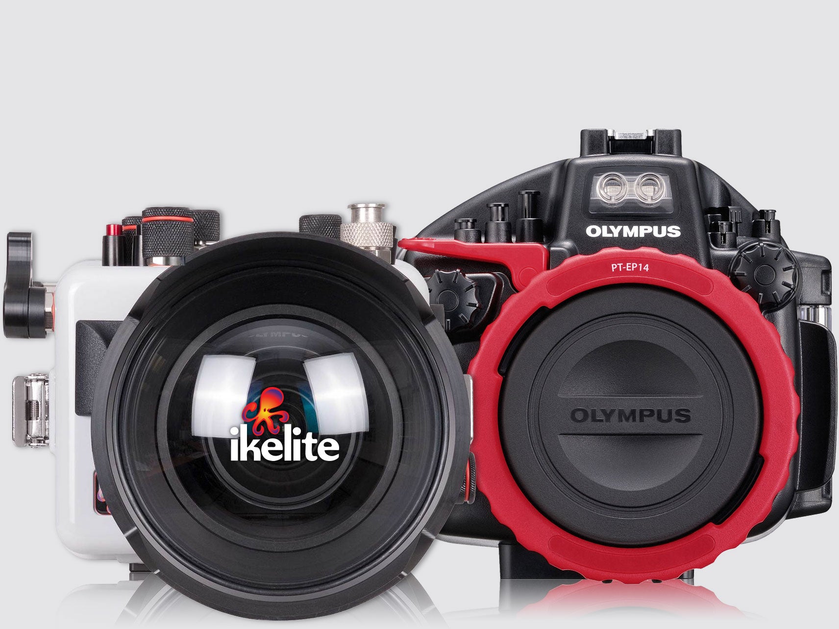 Top 10 Differences Between Olympus and Ikelite Housings