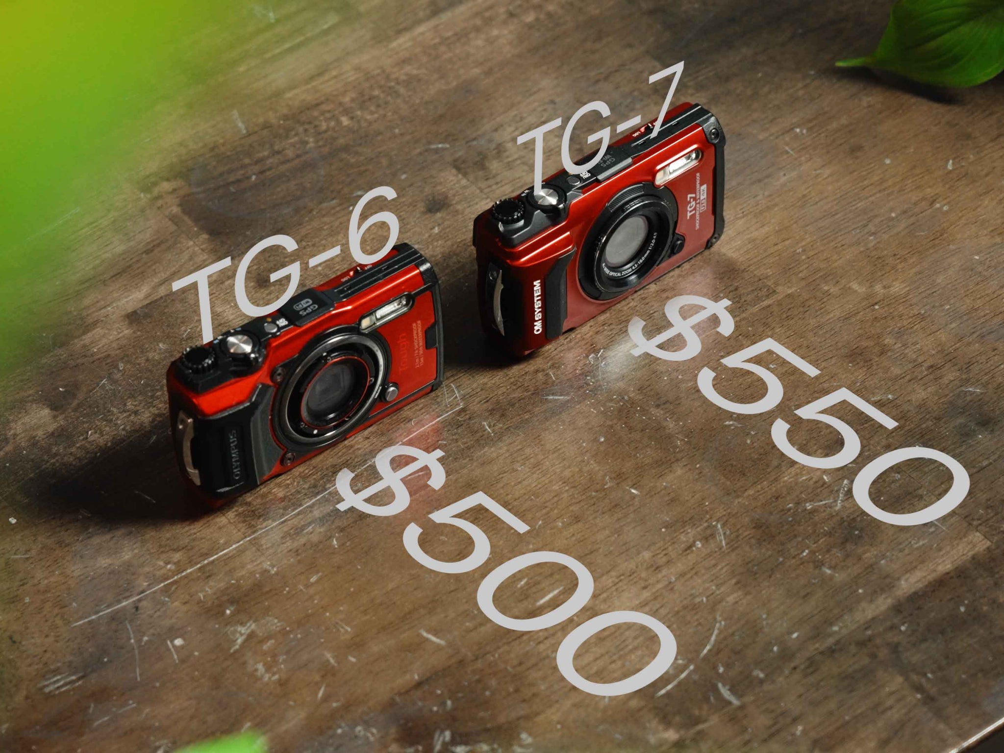 I Shot the TG6, Here