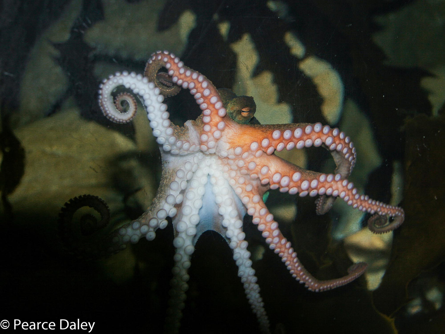 Customer Photos | Pearce Daley 24 Time Zones 15,000 Photos