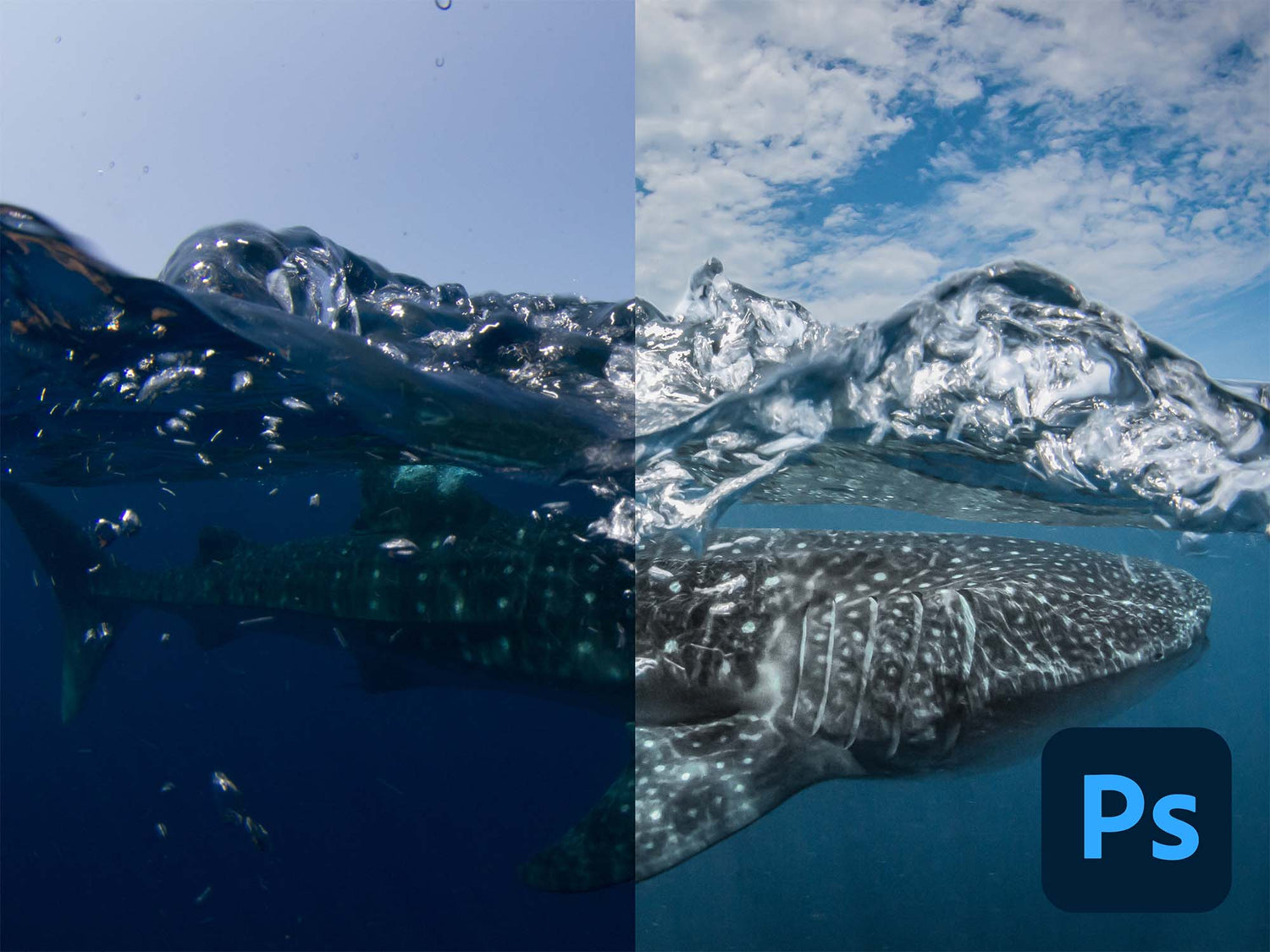 Recovering Split Shots with AI Generation