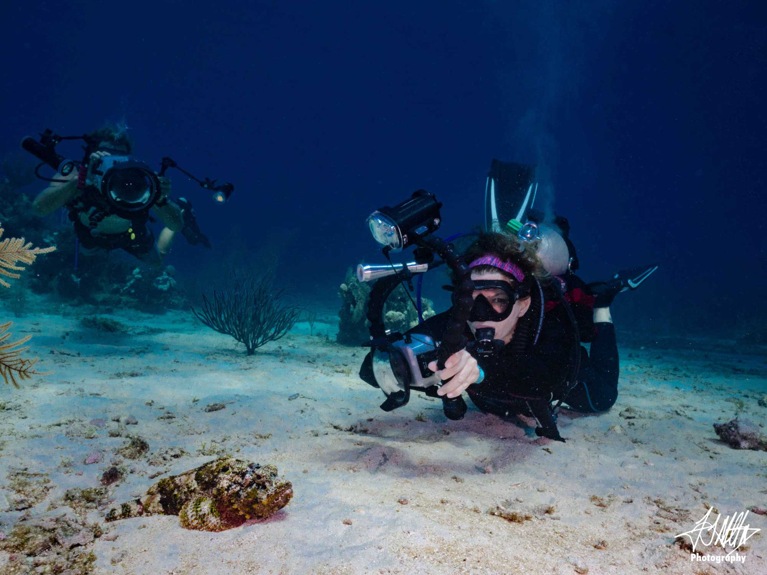 2019 Roatán Underwater Photo Fest Trip Report