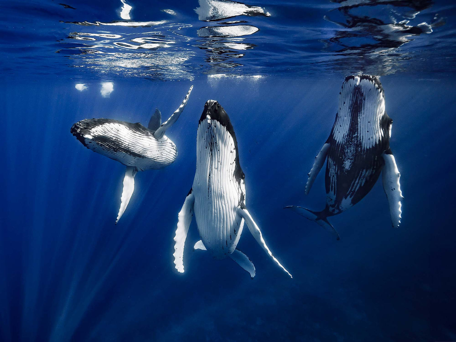 Featured Customers | Rowan Dear Entering the Water With a Clear Vision