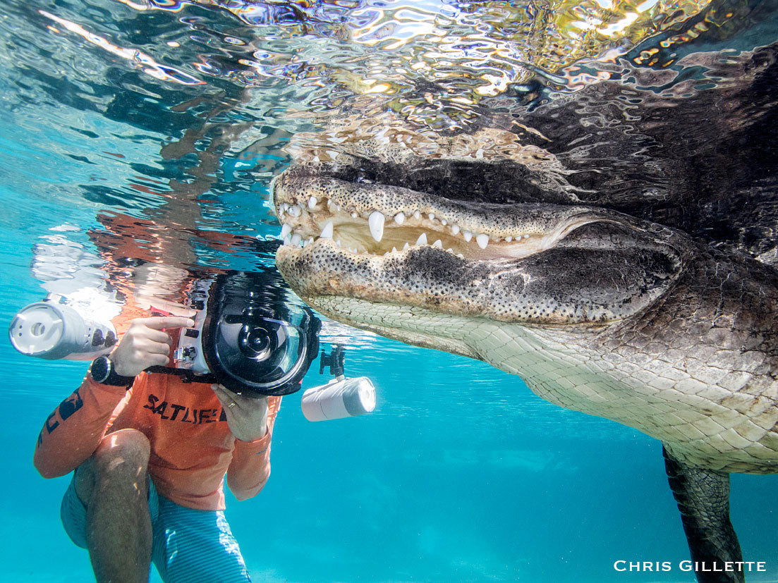 Shooting Florida Gators with Shawn Jackson