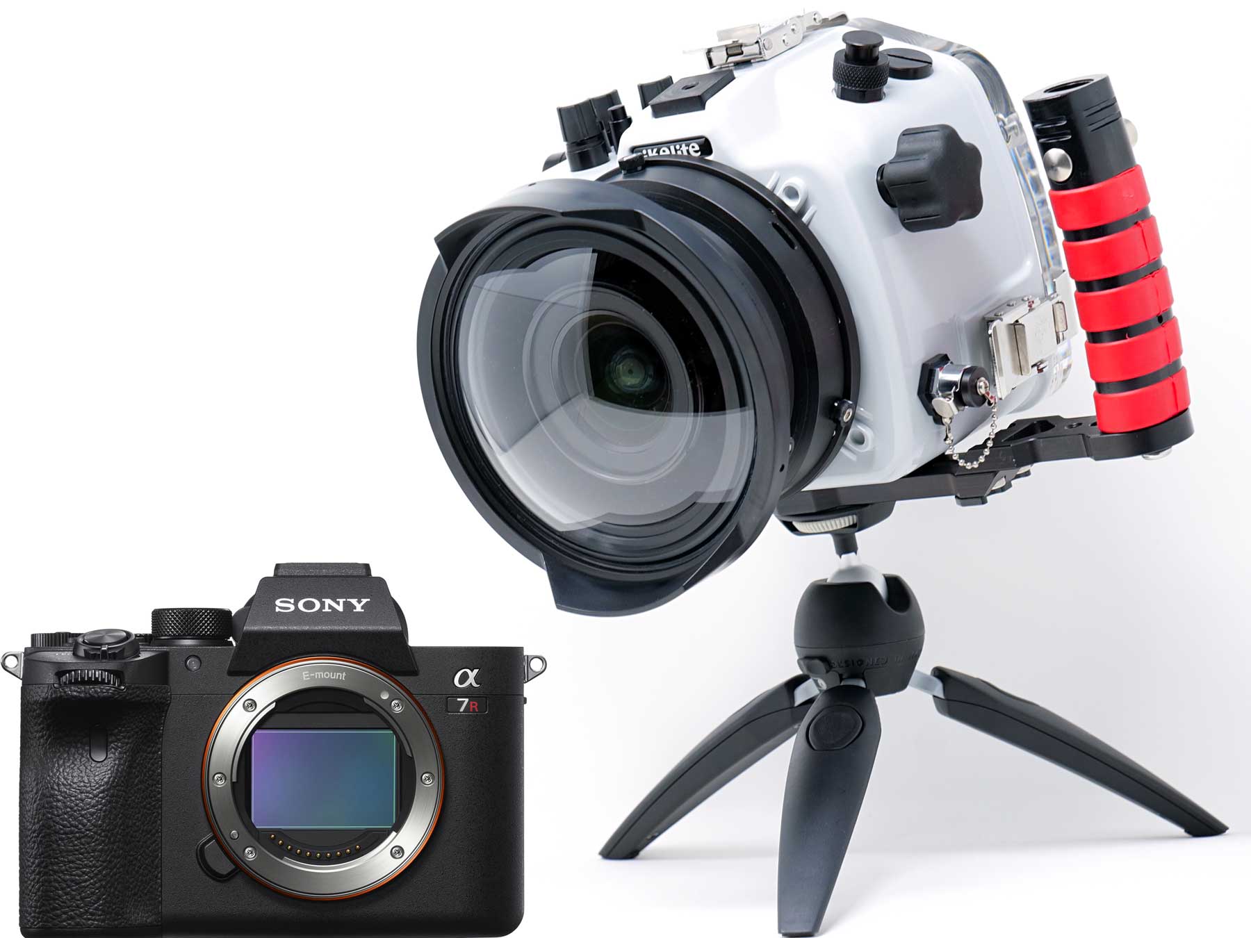 First Look Sony Alpha a7R IV Underwater Housing