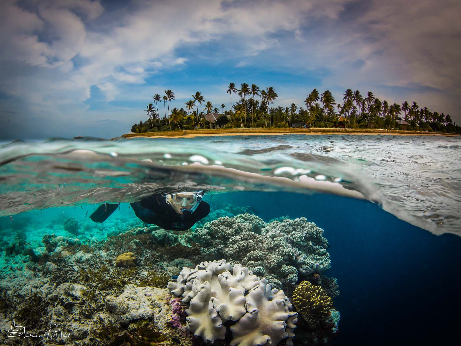 Diver snorkeling on reef in Wakatobi, Marine Protected Area, image by Steve Miller with Ikelite Underwater Systems
