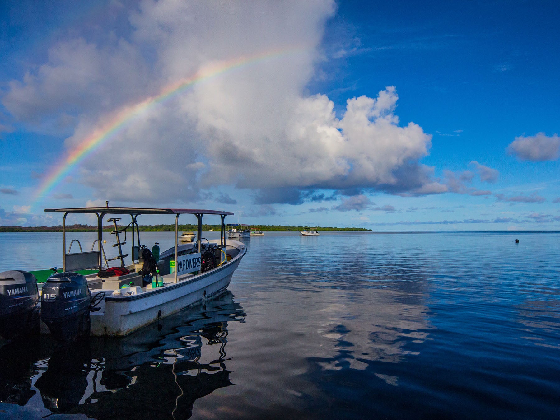 Yap, Micronesia Underwater Photography