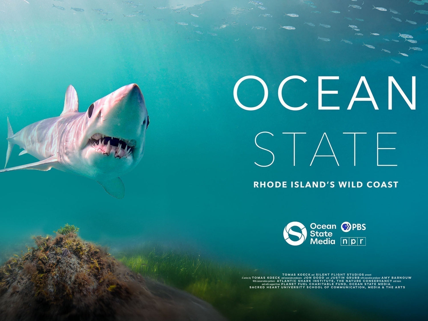 Ocean State: Rhode Island's Wild Coast Docuseries Returns With "Tides of Change"