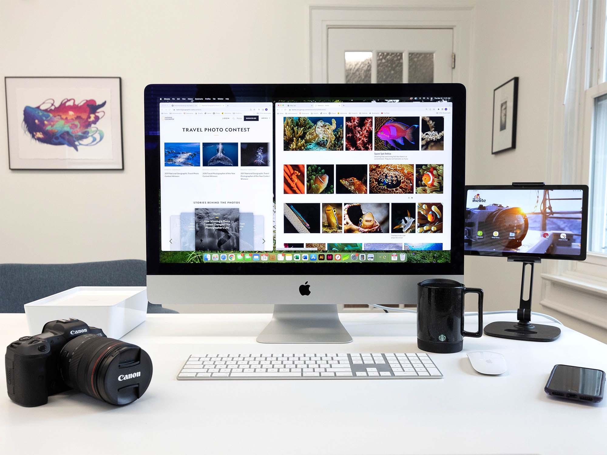 Underwater Photo Contests to Enter Today